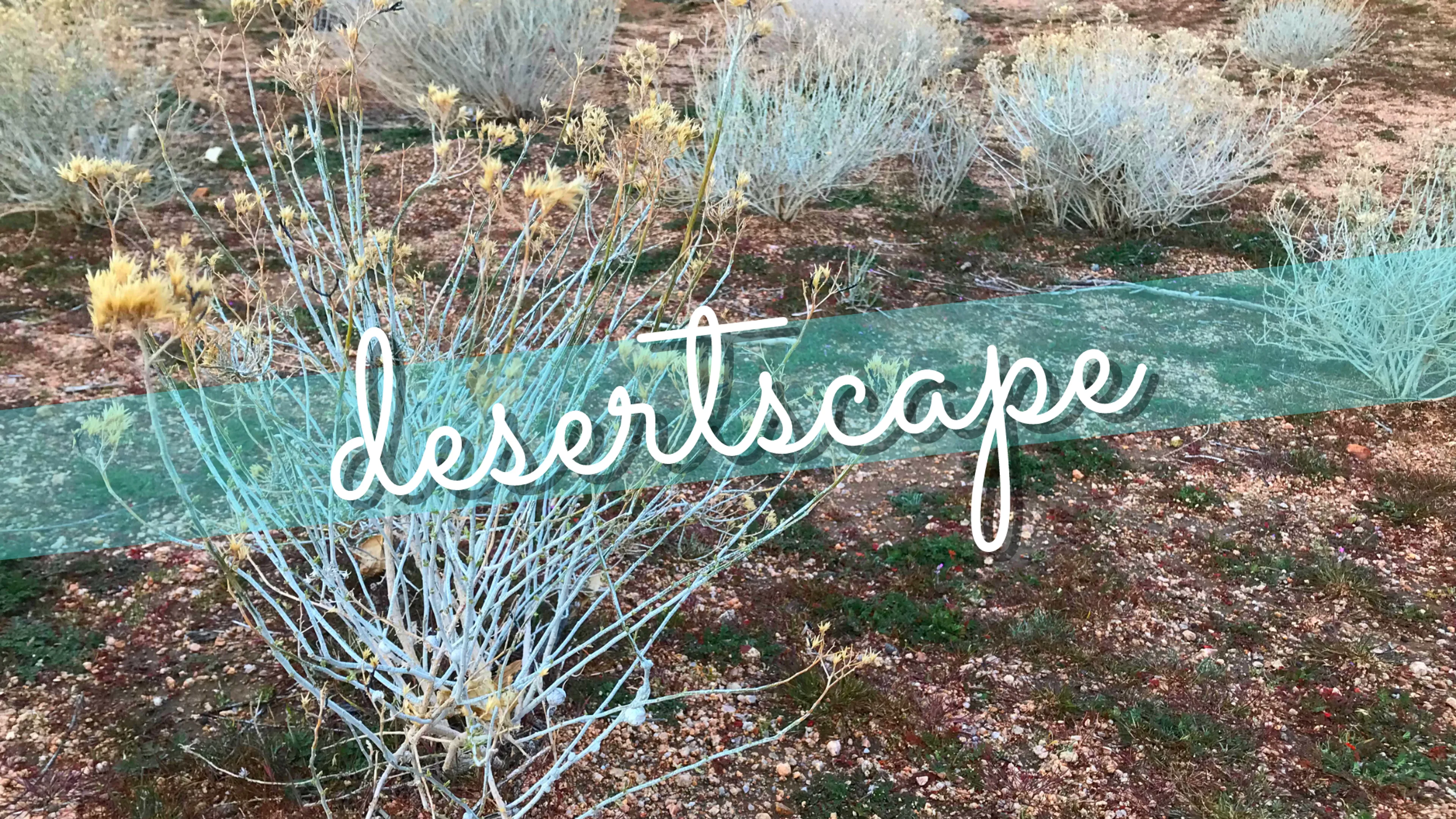 Desertscape poster